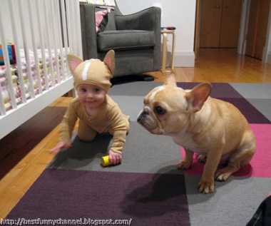 Very funny baby and dog.