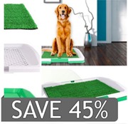 Deal Puppy Potty Trainer