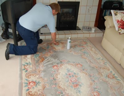 Polypropylene rugs: How to Clean Area Rugs