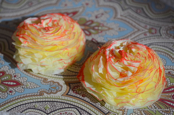 Crepe Paper Carnations