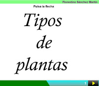 http://cplosangeles.juntaextremadura.net/web/edilim/curso_2/cmedio/plantas02/tipos_plantas02/tipos_plantas02.html