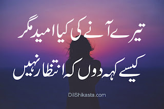 love shayari urdu