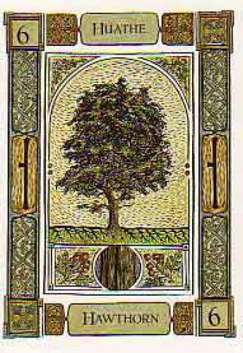 Psychic Abilities Discussed