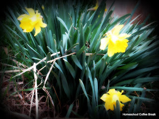Homeschool Weekly - Springtime Edition on Homeschool Coffee Break @ kympossibleblog.blogspot.com