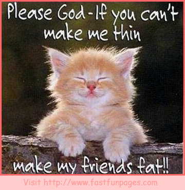 Funny  Photos  Captions on Funny Animals With Sayings Make My Friends Fat