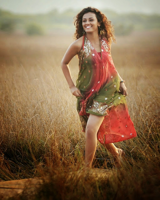 Telugu actress Seerat Kapoor looking stunning in the latest photoshoot.