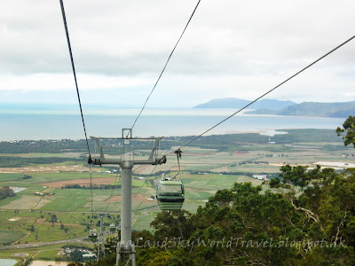 庫蘭達, 雨林, Kuranda, rainforest