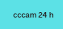 cccam 24 h