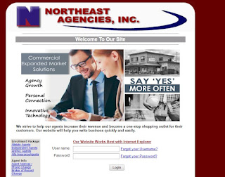 northeast agency insurance services