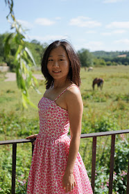 Self-drafted Free Pattern Picnic Dress Pink