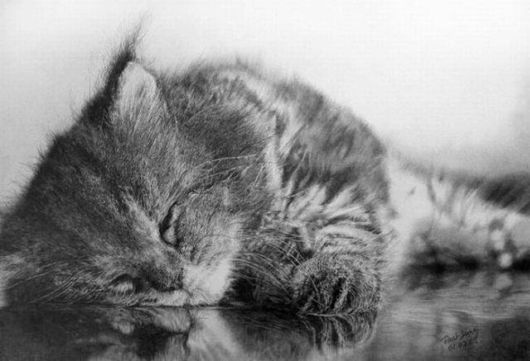 Gambar Kucing  Dilukis Dengan Pensil