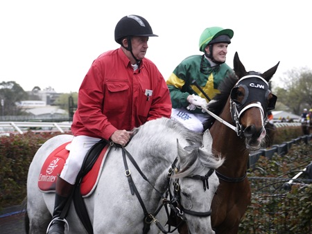 race 6 _foreteller _scale 4