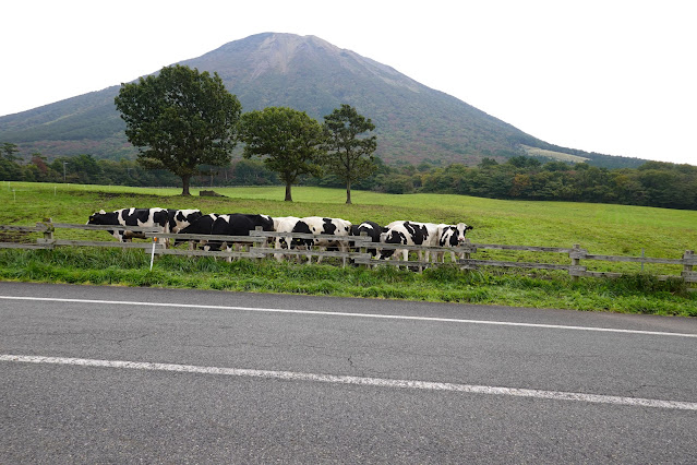 鳥取県西伯郡伯耆町小林　大山放牧場