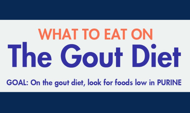 what is a gout diet plan infographic visualistan