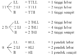 Prediksi Soal UN IPA SMP Tahun 2019 Lengkap Beserta Pembahasannya