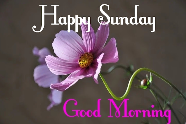 Good Morning Happy Sunday