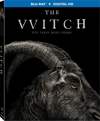 The Witch 2016 Dual Audio Hindi 720p 480p BluRay 750MB 300MB