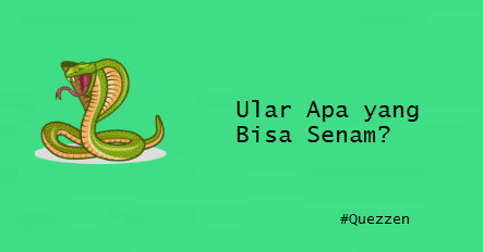 Ular Apa yang Bisa Senam?