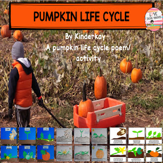 https://www.teacherspayteachers.com/Product/Pumpkin-Life-Cycle-Lets-Make-a-Book-4112725