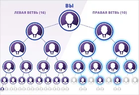 Бинарная система маркетинга