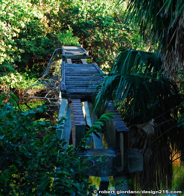 Birch State Park Railroad