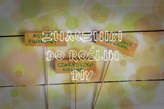 Znaczniki do roślin DIY