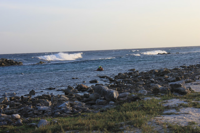 Praia Baby Beach - Aruba