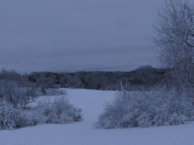 snowy field in blue light