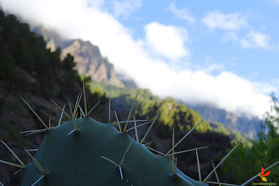 Itinerari circular a la Caldera de Taburiente