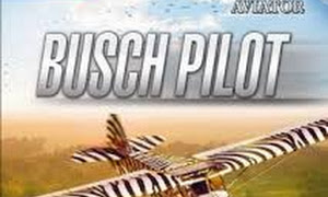 Aviator Bus Pilot Full Version