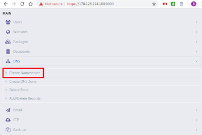 Cara Membuat Nameserver di CyberPanel