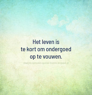 plaatjes met nederlandse quotes