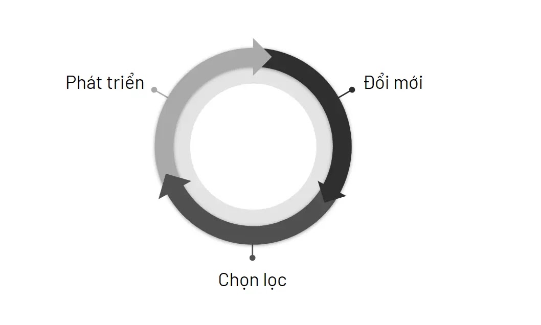 Quy trình xây dựng chiến lược từ khả năng thích ứng