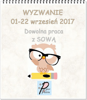 baner wyzwania