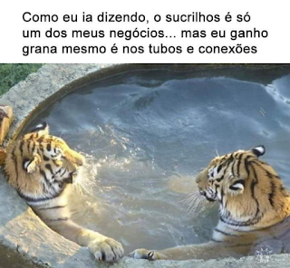 Definição de ofurô: um tipo de banheira tradicional do Japão caracterizada pelo seu formato arredondado bem mais profundo do que uma banheira ocidental, suficiente para que a água cubra os ombros de uma pessoa sentada.  Descrição: No topo da imagem: Como eu ia dizendo, o sucrilhos é só um dos meus negócios...mas eu ganho grana mesmo é nos tubos e conexões. Abaixo, uma foto ao ar livre em dia de sol. Em uma banheira, tipo ofurô, dois tigres frente a frente, sentados em imersão, cada um, com uma pata apoiada sobre a borda.