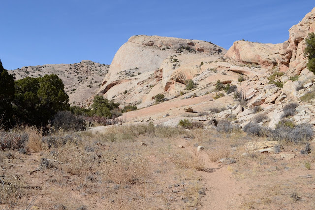 canyon with a trail