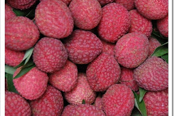 7 Manfaat Buah Kersen Untuk Ibu Hamil