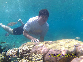 Theo underwater di Pulau Cilik Karimunjawa