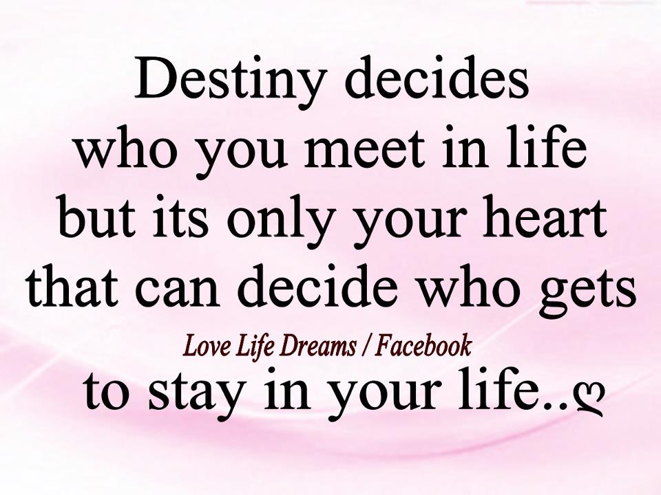 Love Life Dreams: Destiny decides who you meet in life..