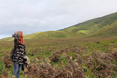 tour bromo murah