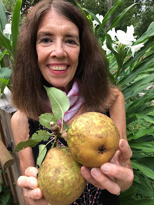 Nancy holding Asian Pears