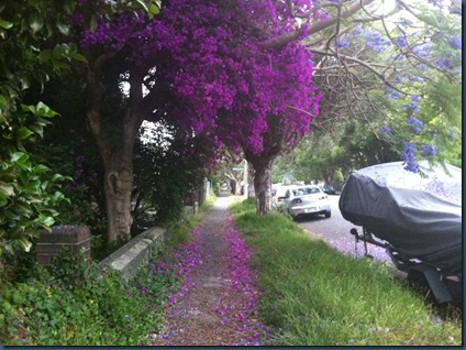 photo (10)