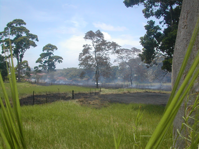 Fire, La Ceiba, Honduras