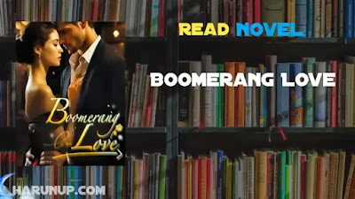 Boomerang Love Novel Naomi and Brendan