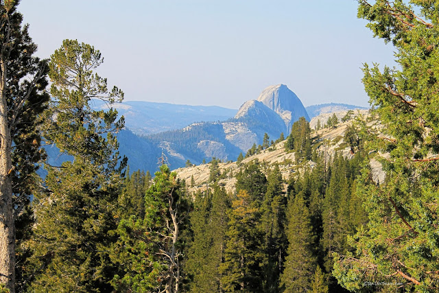 Yosemite National Park Tioga Pass geology travel field trip copyright rocdoctravel.com