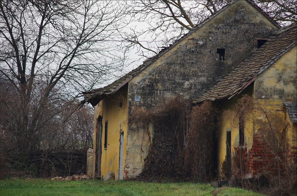 Gullwing Photography Hungarian  village 