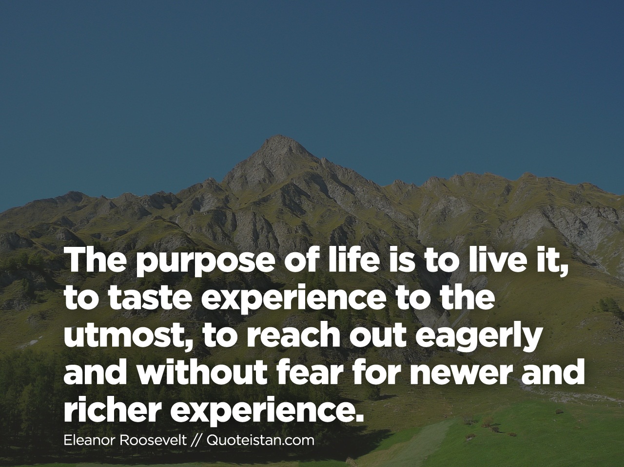 The purpose of life is to live it to taste experience to the utmost