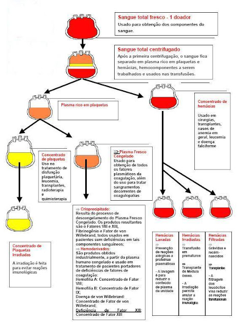 *: Doação de Sangue (Campanha Agosto 2010)