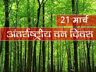 अंतर्राष्‍ट्रीय वन दिवस 21 मार्च International Forest Day 21 March