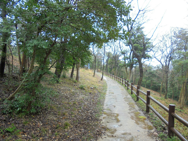 雨の日の弥生の森の遊歩道